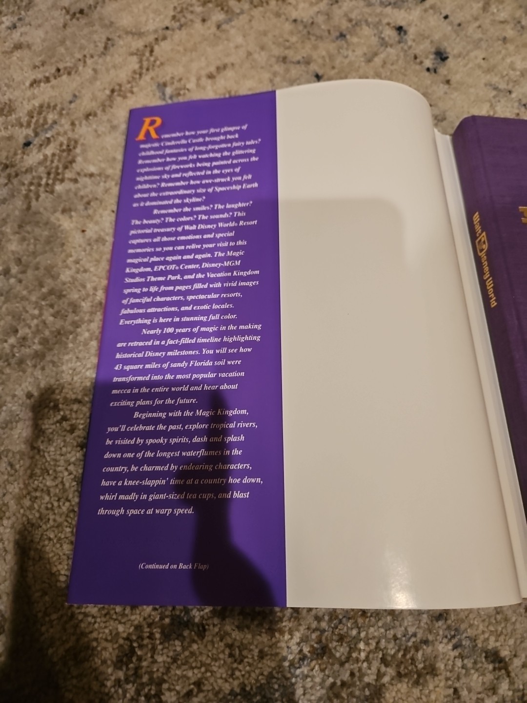 Walt Disney World Disney Kingdom Editions Purple 1993 Hc/dj