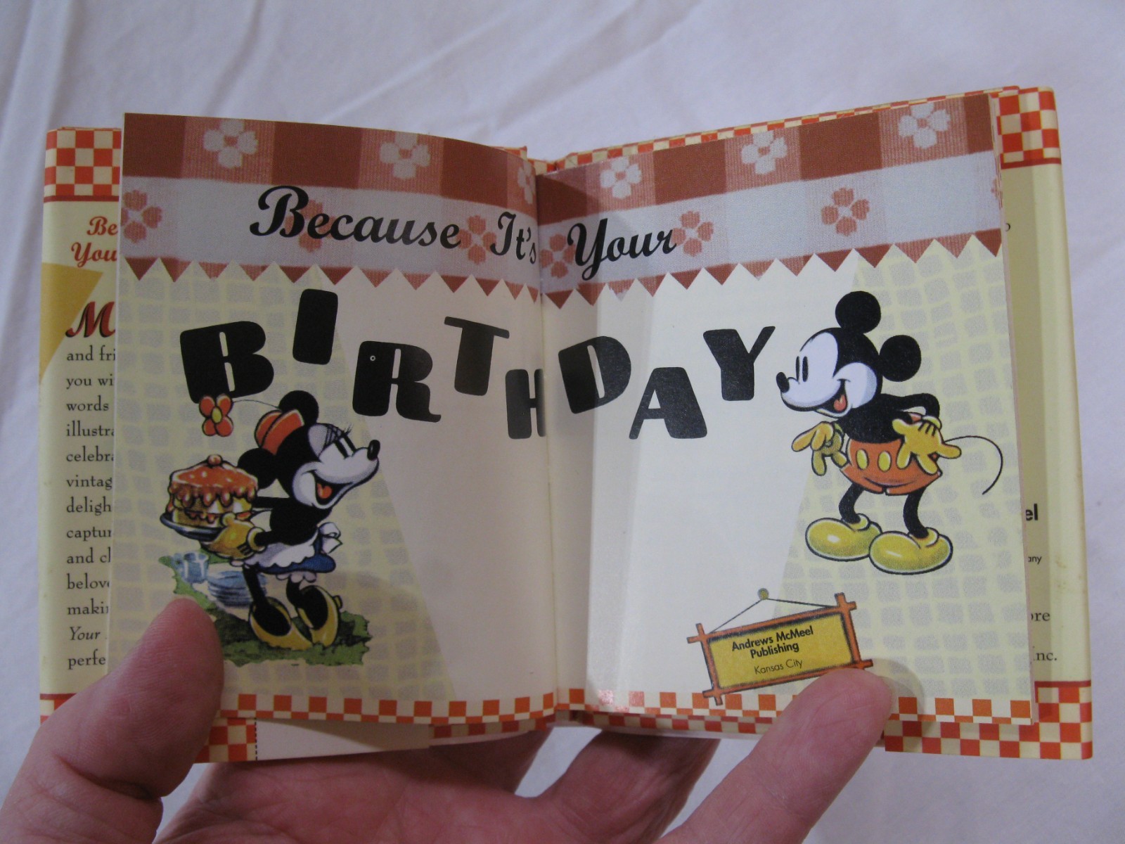 Mickey Minnie Because It’s Your Birthday Book HCDJ 2006 HTF 48 Pages
