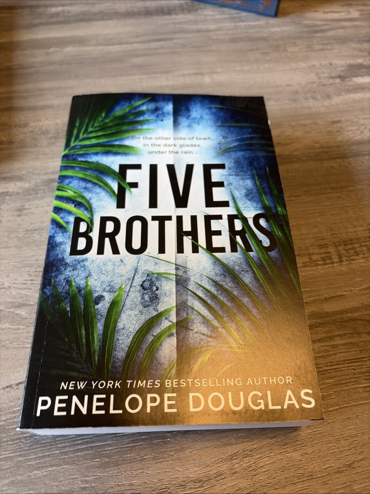 Penelope Douglas / Five Brothers & Tryst Six Venom / Probably SMUT Editions