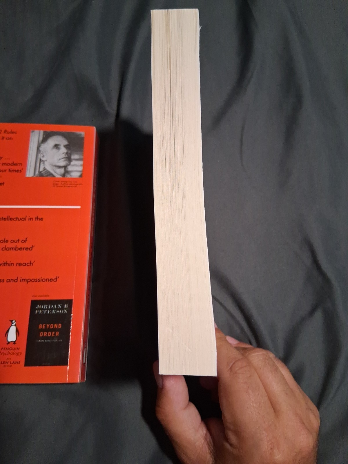 Beyond Order + 12 Rules for Life – Jordan B. Peterson Paperback book Lot of 2