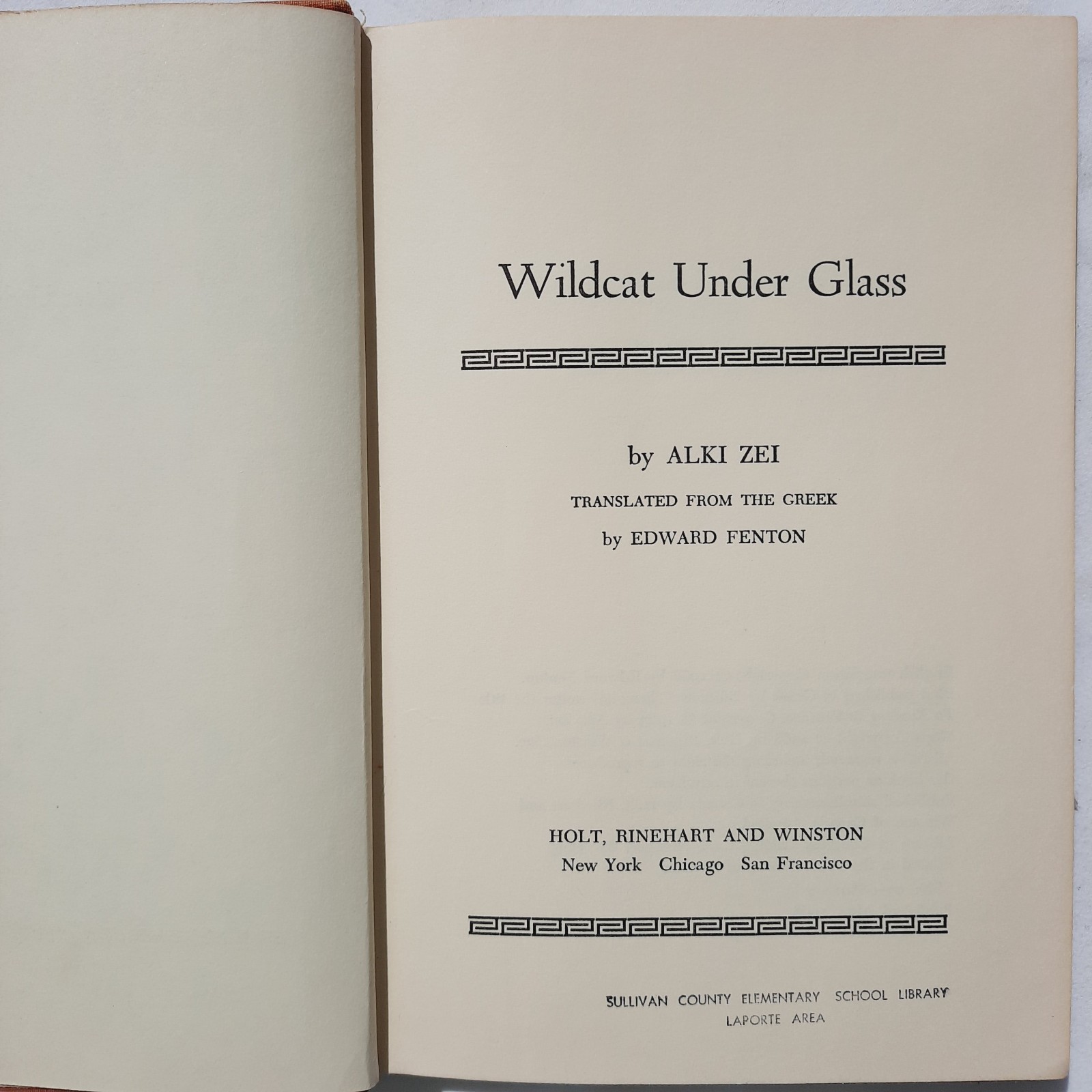 Wildcat Under Glass by Alki Zei GOOD 1969 HC 177 pages Holt, Rinehart & Winston