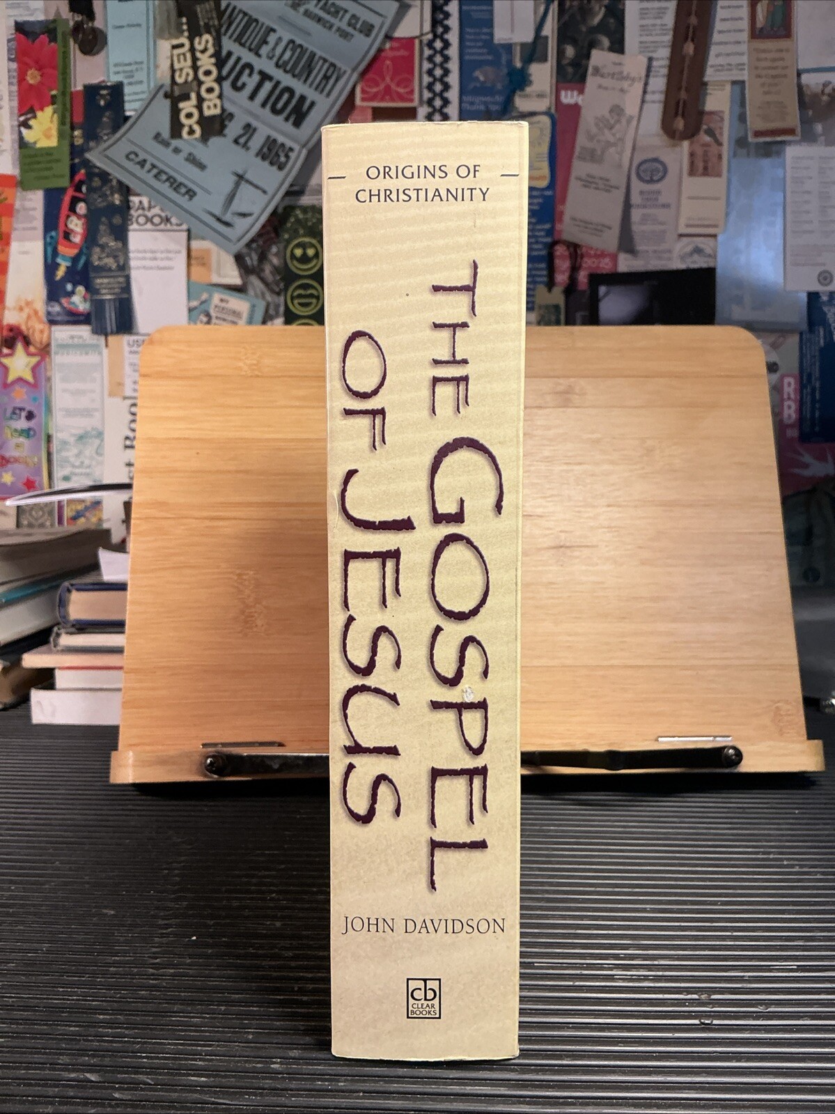 Gospel of Jesus by John Davidson (2005, Paperback)