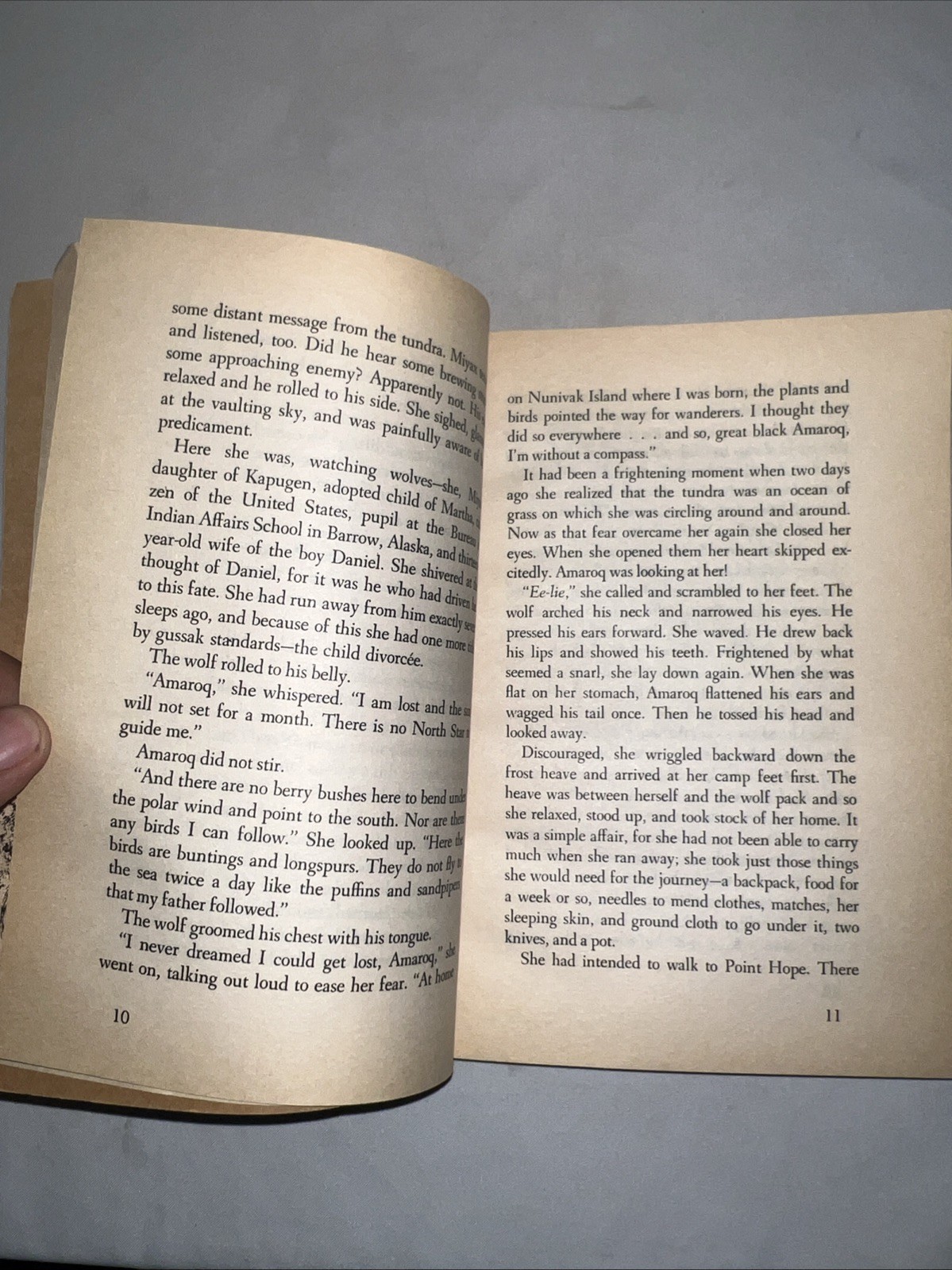 Julie Of The Wolves – George, Jean Craighead – Good – See condition notes
