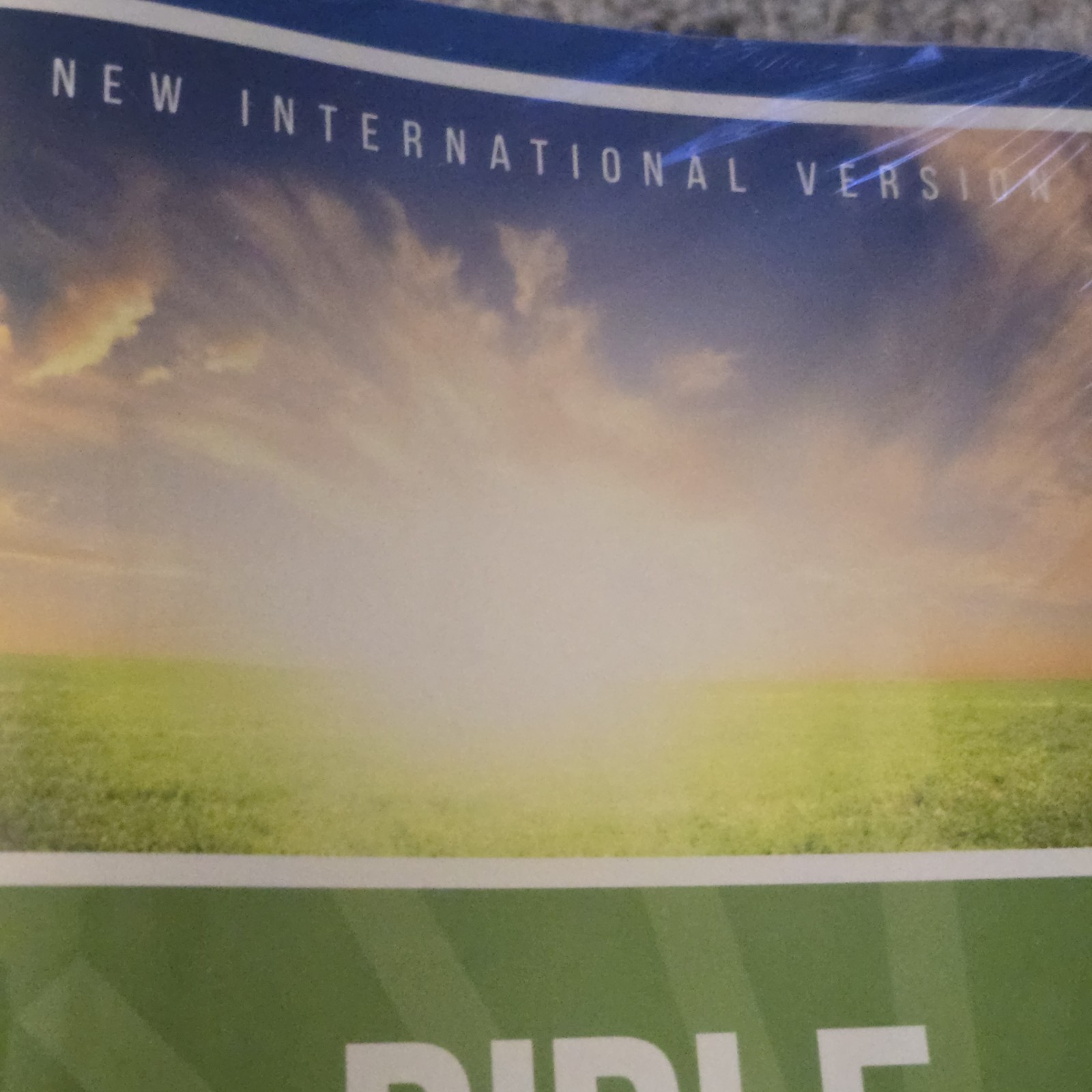 Bible in 90 Days-NIV: 12 Pages a Day Zondervan/Participants & Leaders Guide Set