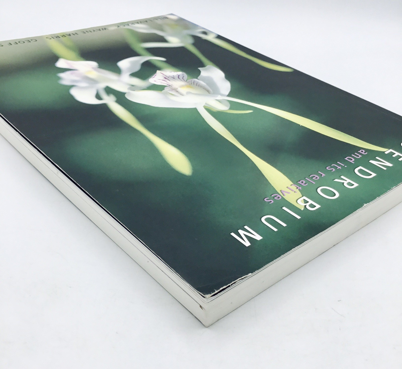OOP💥 Dendrobium and Its Relatives Orchid Book; Lavarack Harris Stocker TPB