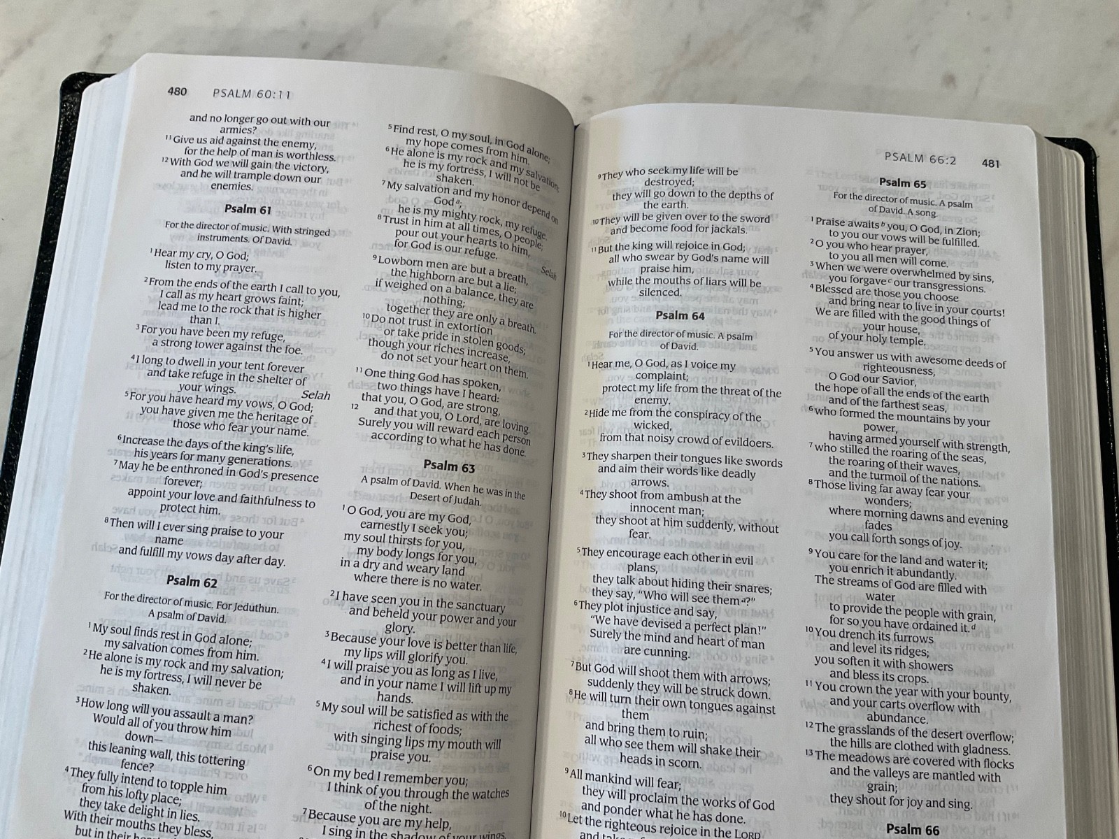 NIV Thinline Bible 2005 Navy Blue Bonded Leather Text 1984