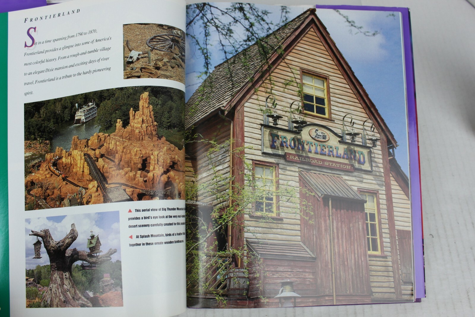Walt Disney World Disney Kingdom Editions Purple Hardcover Book with Dust Jacket