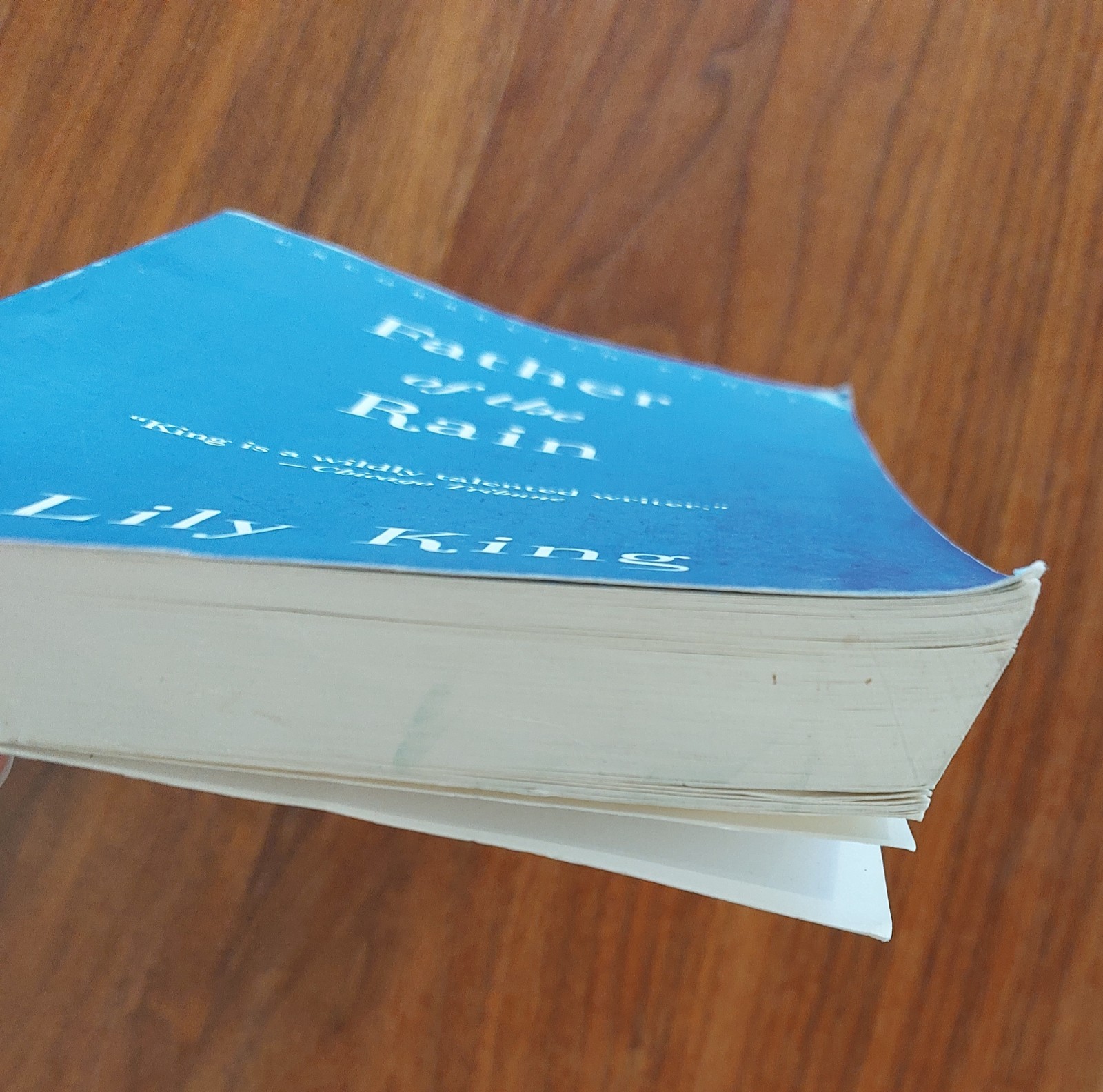 Lily King Father of the Rain 2010 UNCORRECTED PROOF Advance Reading Copy ARC