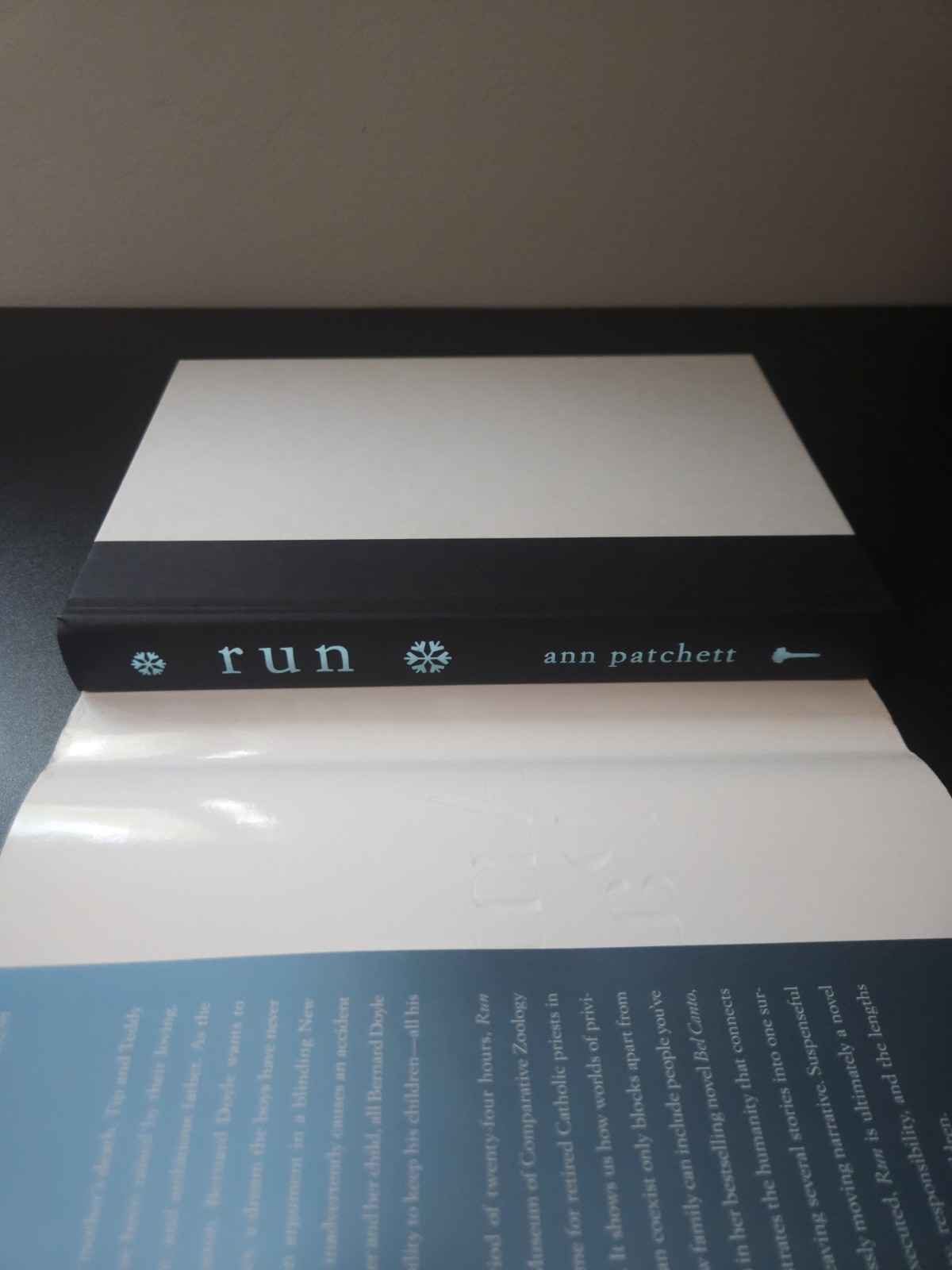 Run Ann Patchett First Edition First Printing 1st Hardcover Novel HC 2007