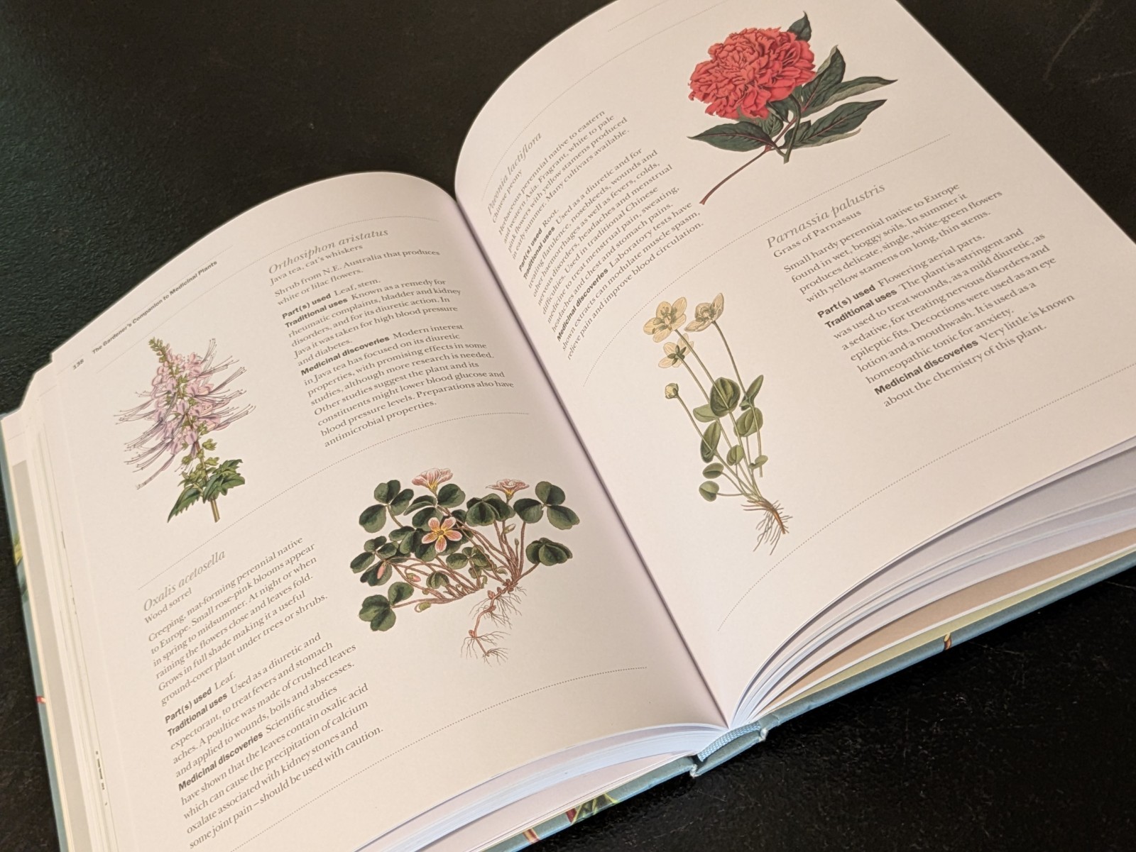 Medicinal Plants: Gardener’s Companion to A-Z of Healing Plants Hard Cover