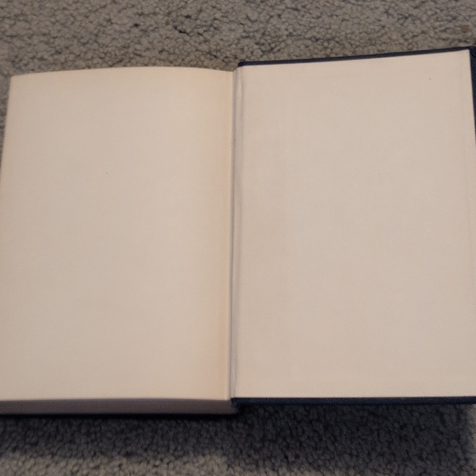 The Poets of the Future by Henry T. Schnittkind – Stratford Co. 1917 HC