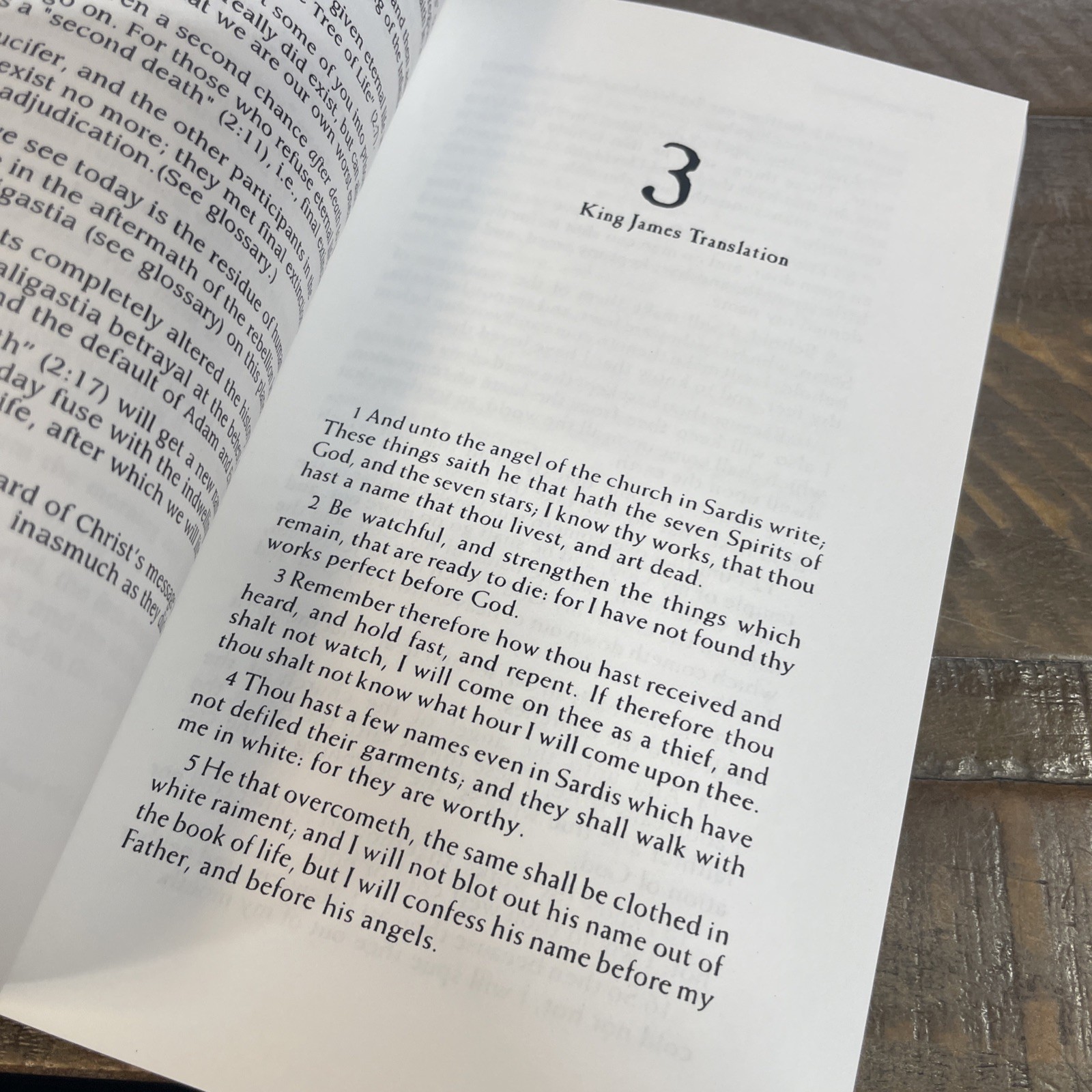 The Secret Revelation : Unveiling the Mystery of the Book of Revelation