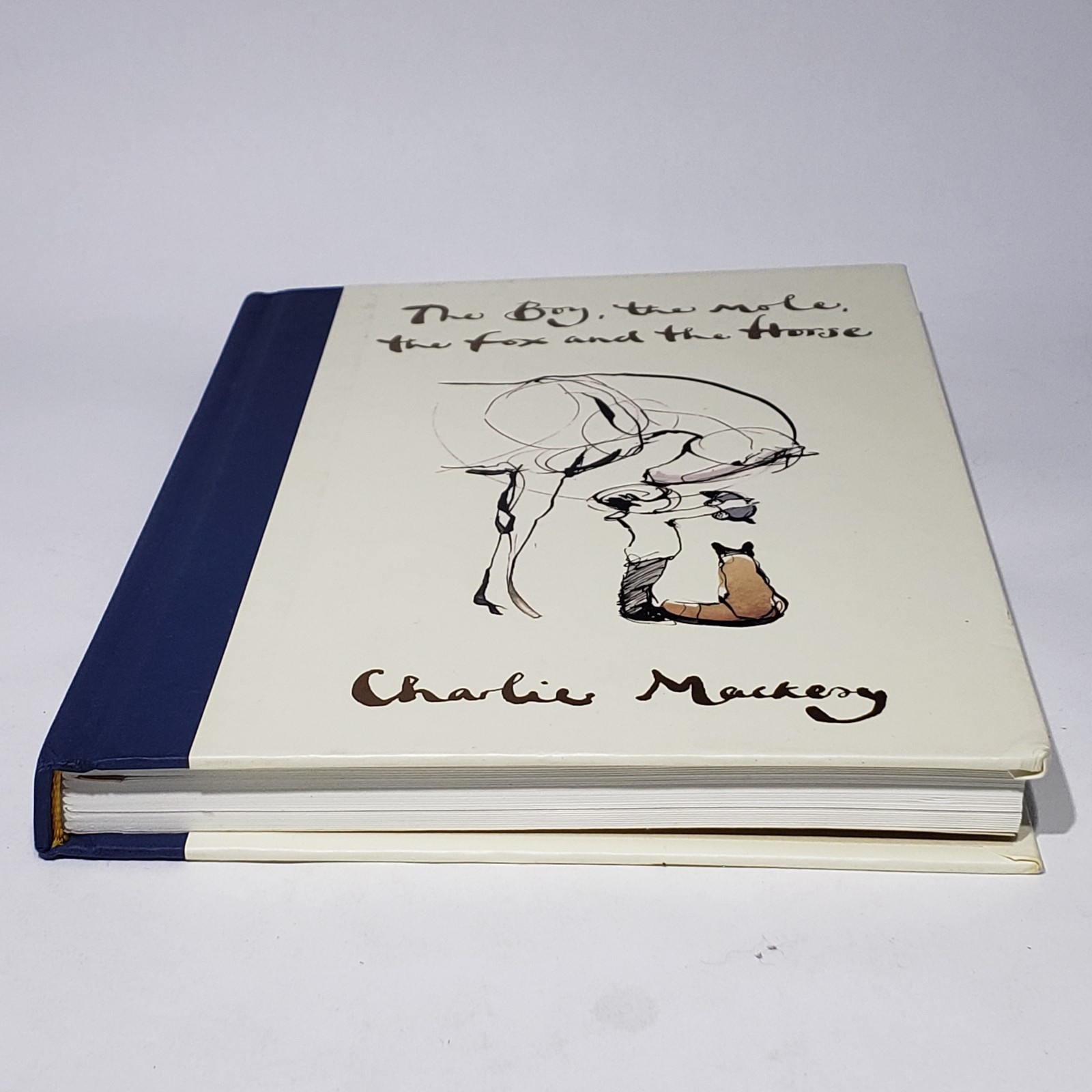 The Boy the Mole the Fox and the Horse Charlie Mackesy HC 2019