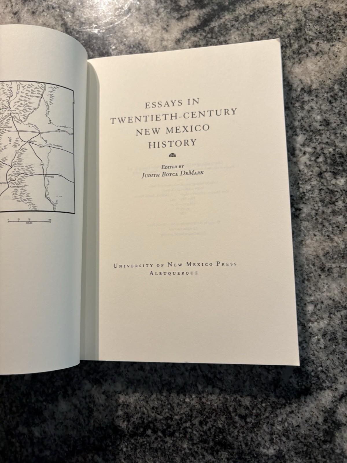 Essays In New Mexico 20th century A History Book Paperback Gift for Readers