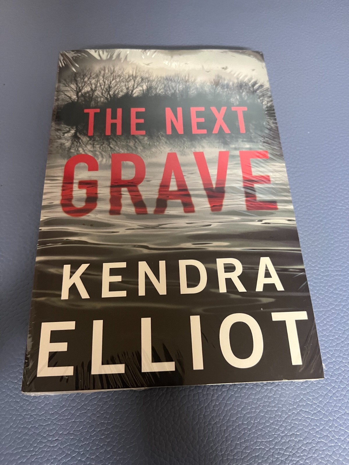 The Next Grave (Columbia River) Paperback – December 10, 2024 by Kendra Elliot