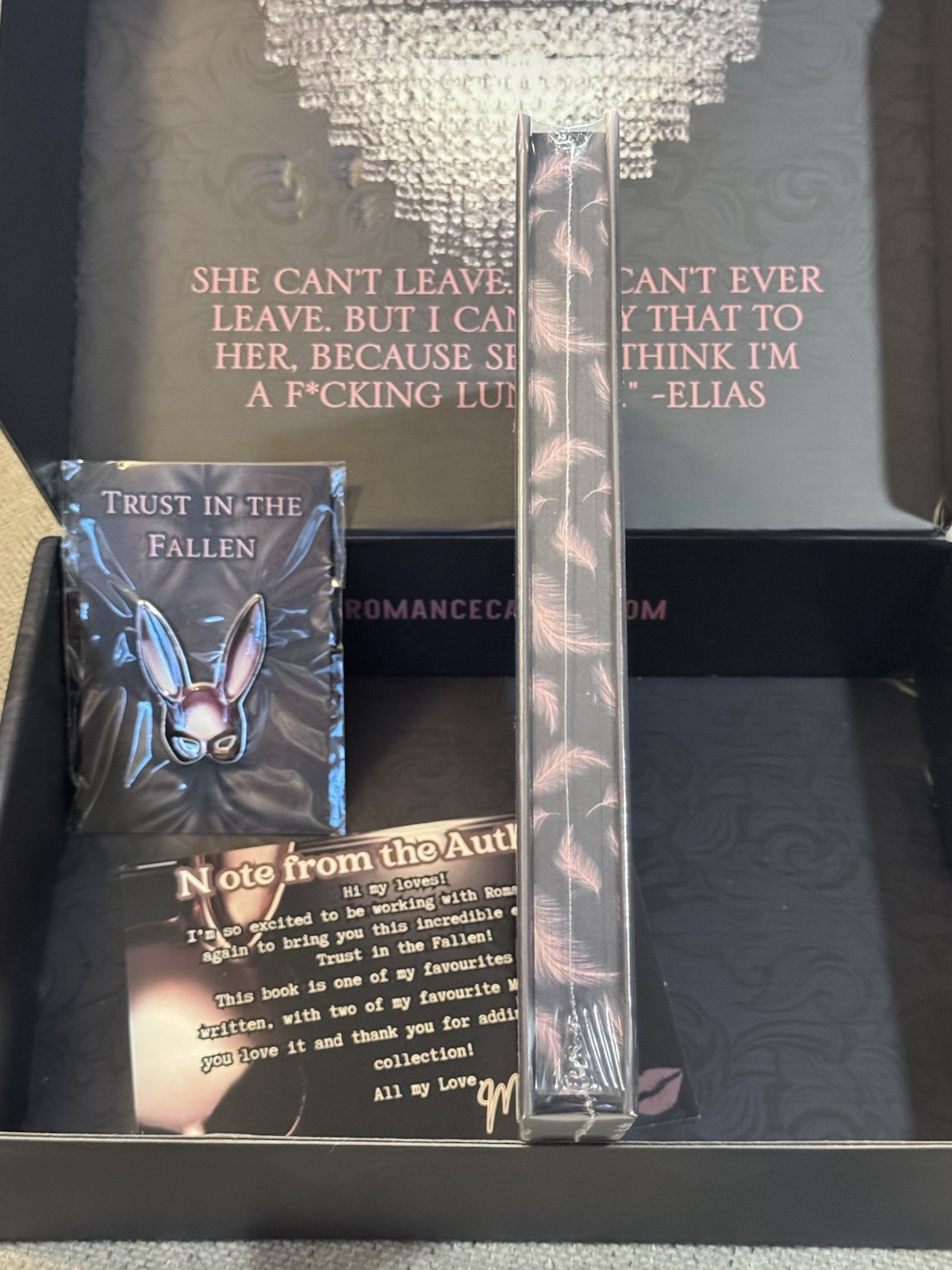 Trust In The Fallen Montana Fyre Romance Cartel Special Edition