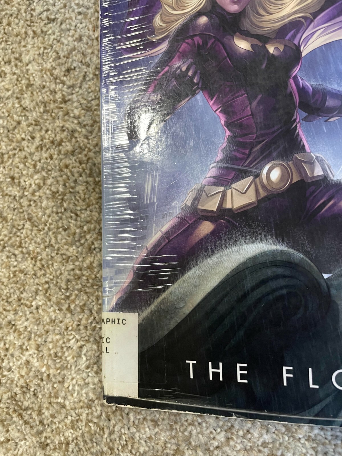 Batgirl: the Flood