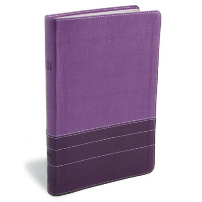 ** NIV 2011 Thinline Bible Large Print 10.5pt *Purple/Plum Leathersoft *NEW* 990