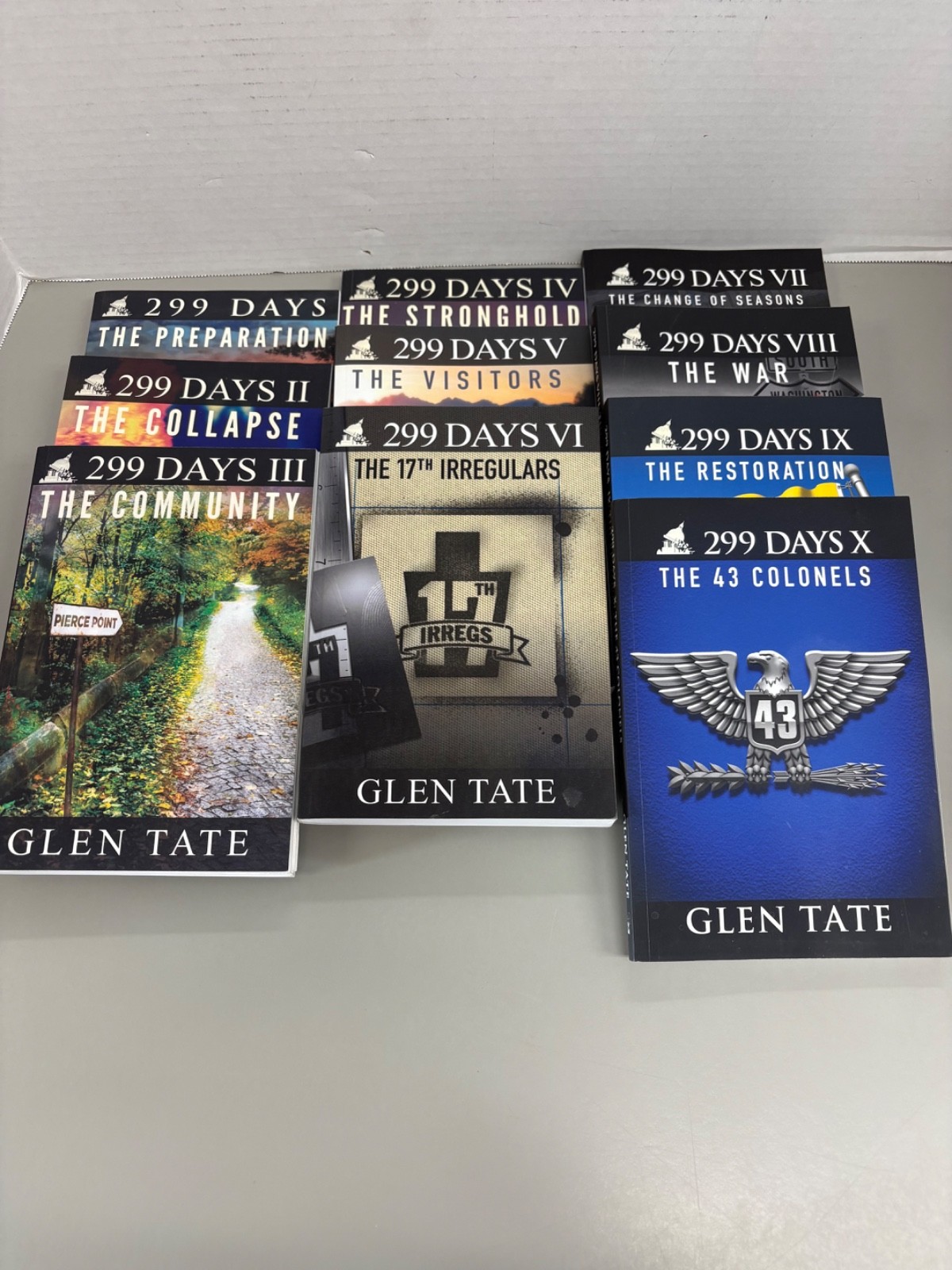 Lot of 10 Glen Tate 299 Days Series Trade Paperbacks (See Photos for Titles)