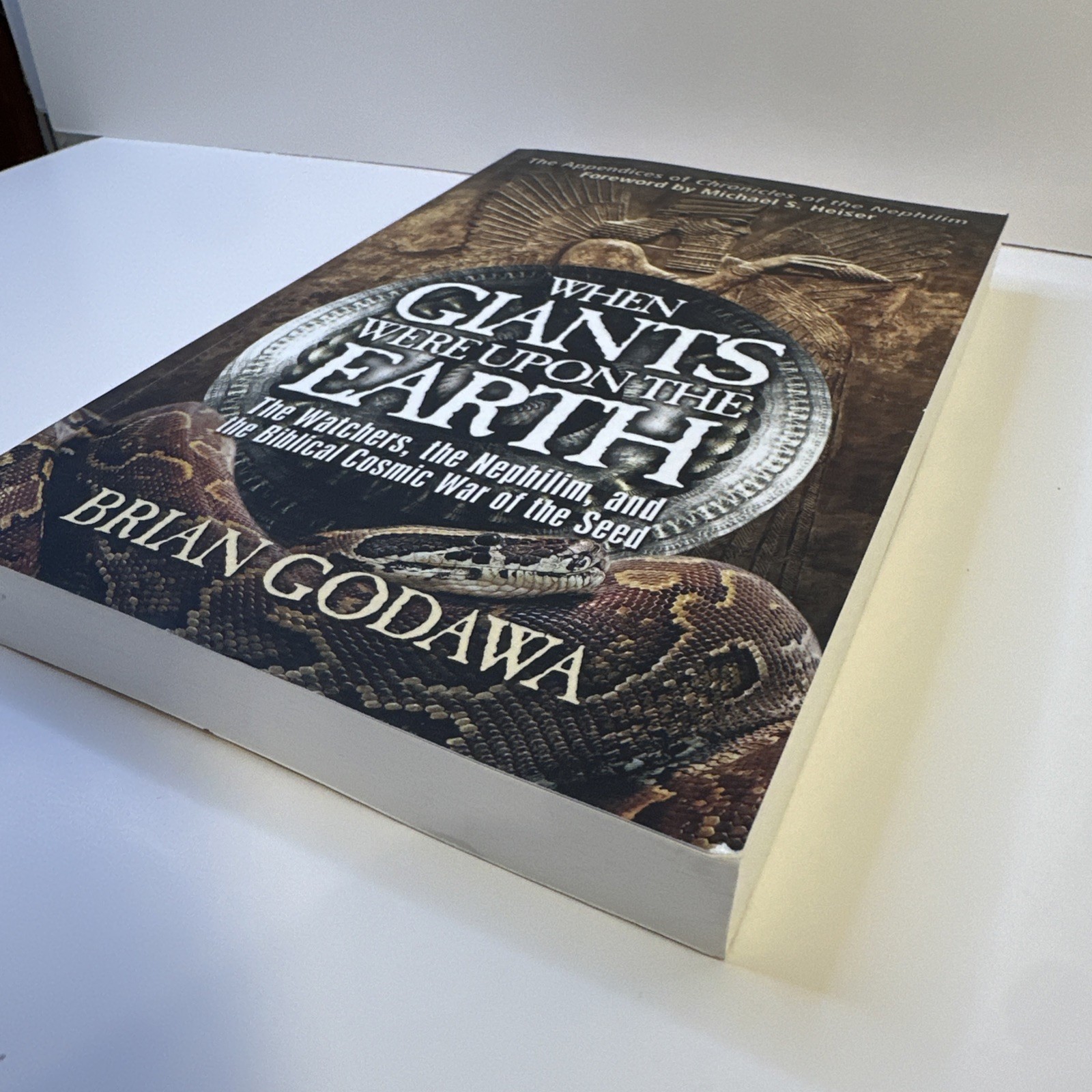 When Giants Were Upon the Earth: The …, Godawa, Brian pre-owned