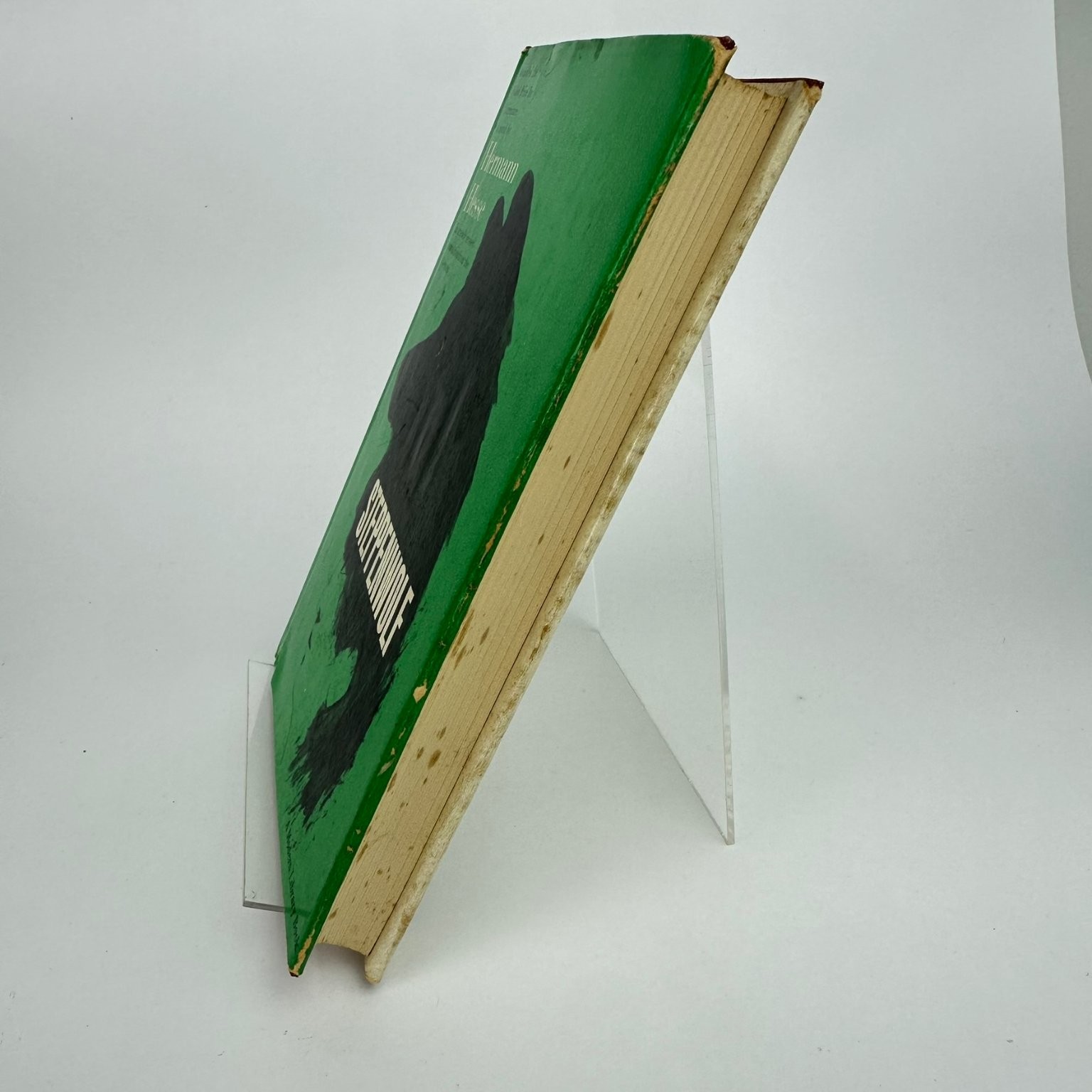 Steppenwolf Hermann Hesse Modern Library Nobel Prize German Classic Novel
