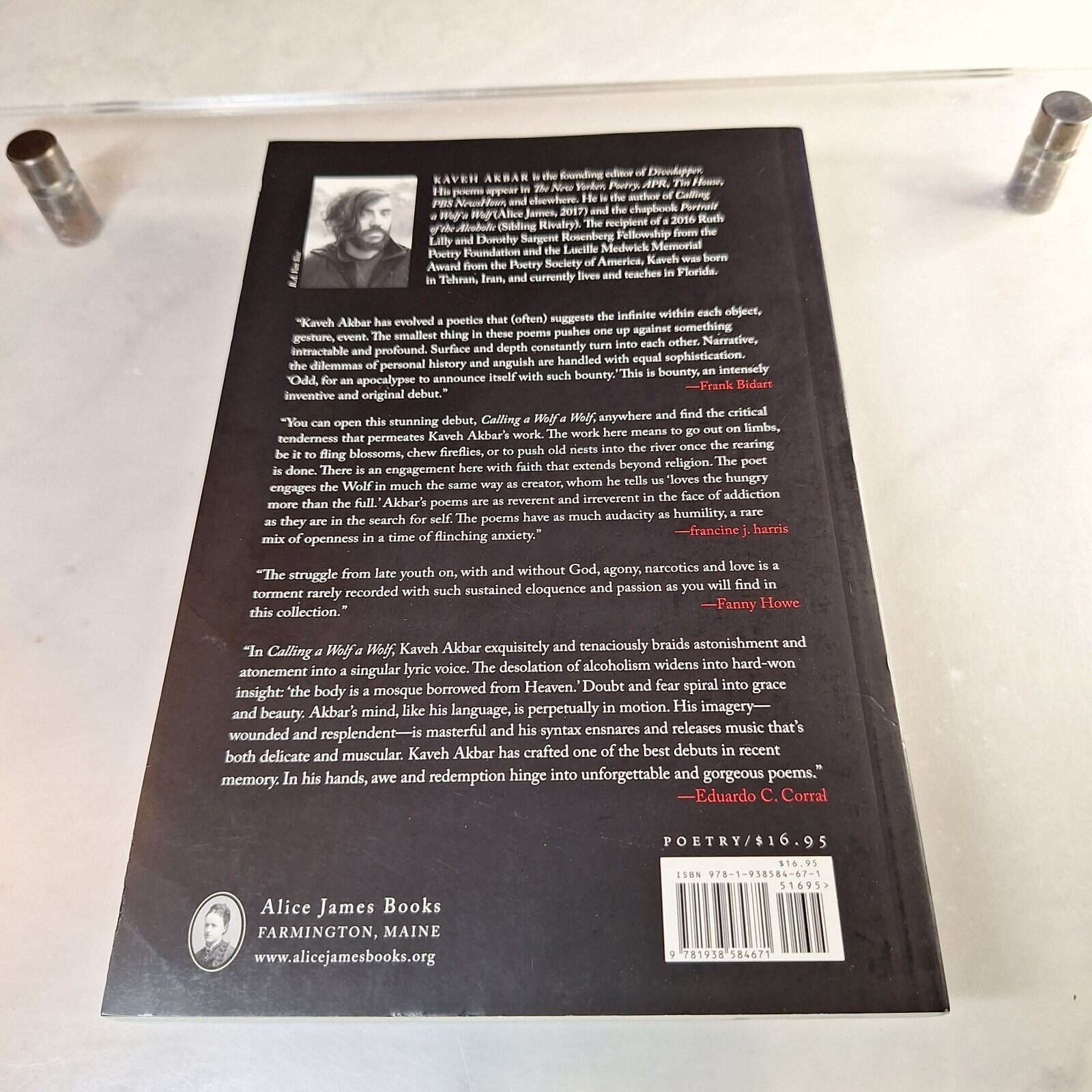 Calling a Wolf a Wolf, Paperback by Akbar, Kaveh