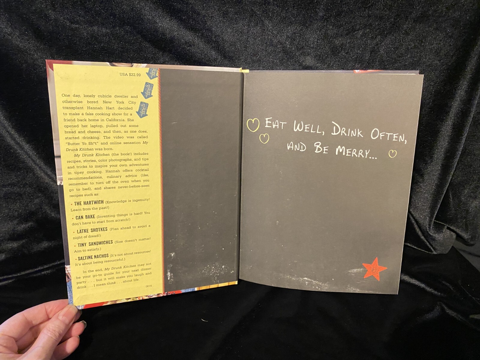 My Drunk Kitchen Hannah Hart Cook Book Journal Advice Cooking Internet Show