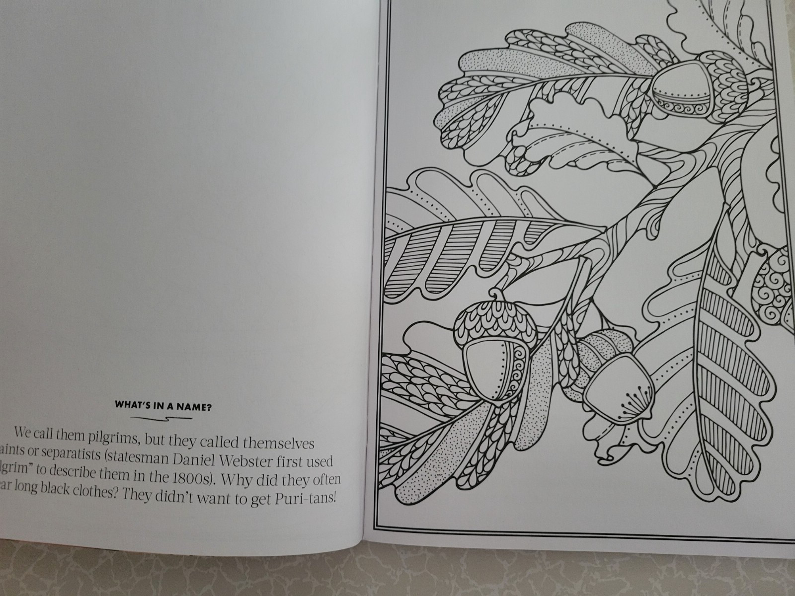 THANKSGIVING ADULT COLORING BOOK – 2022 CENTENNIAL – 32 FESTIVE COLORING PAGES