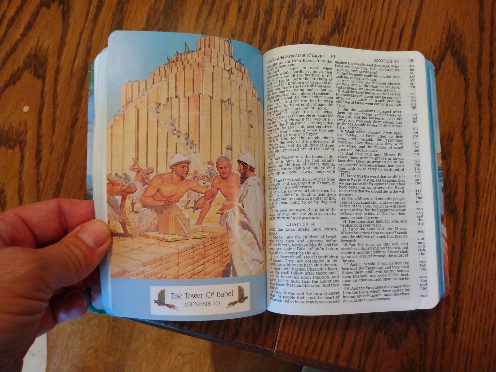 Children’s Bible KJV Seaside Bible Illustrated Nelson Hardcover blue edge