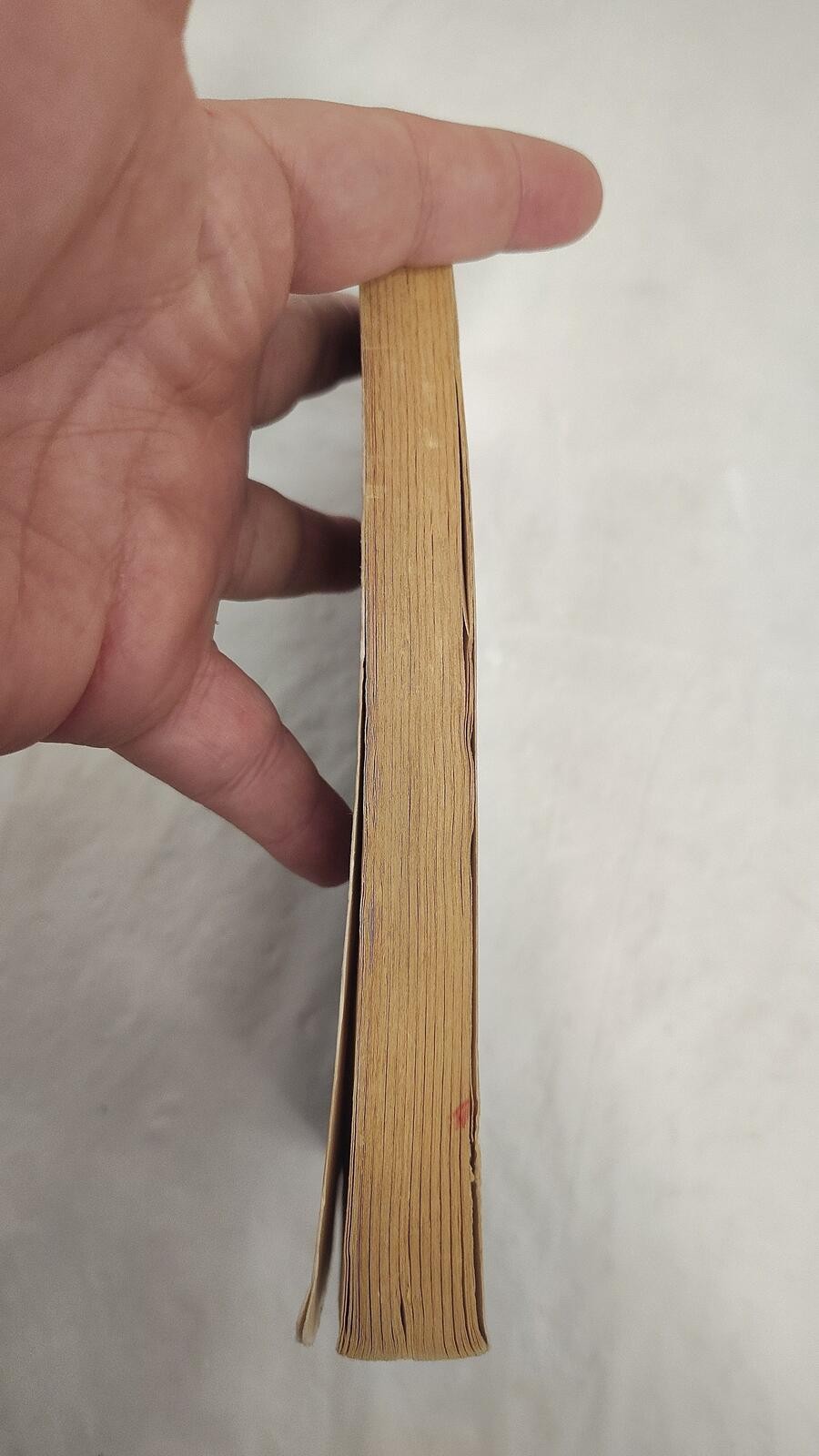 Lord of the Flies William Golding Vintage Wideview Perigee Paperback
