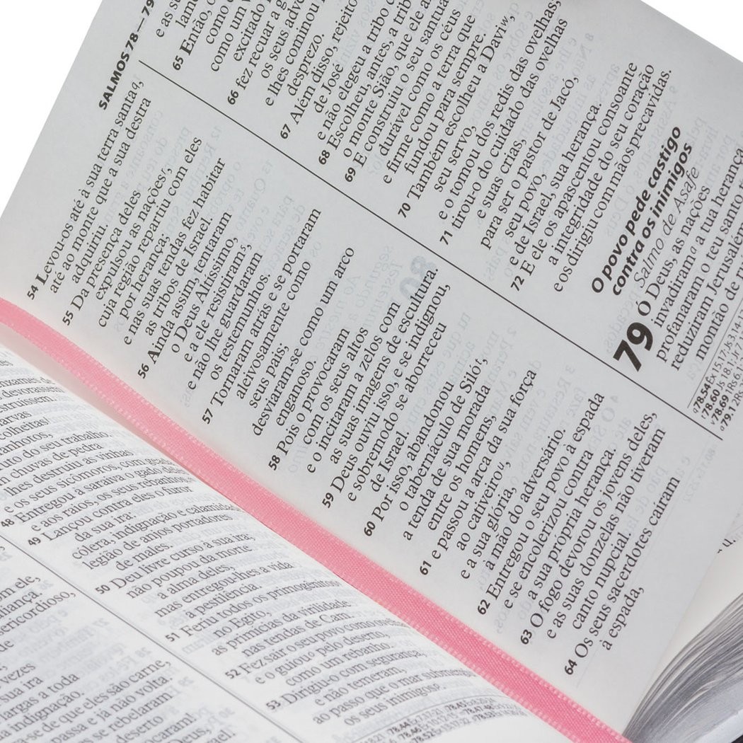 Biblia Sagrada: ARA – Capa: Flexivel em Couro – Letra: Grande (Portugues Brasil)