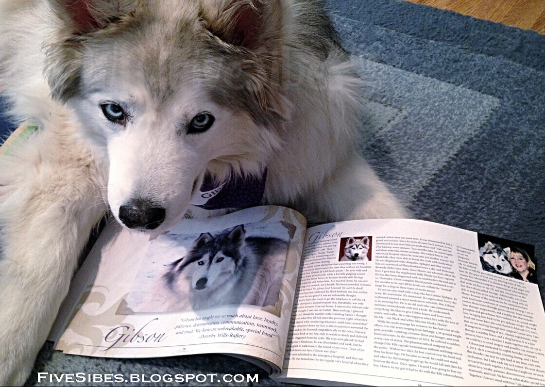 EPIc Dog Tales – Coffee Table Reference Book About Dogs With Canine Epilepsy