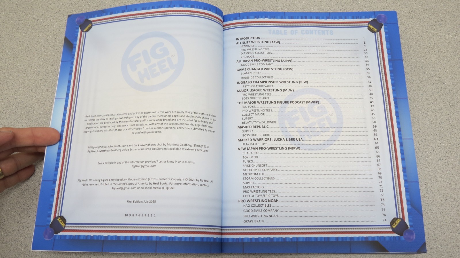 Wrestling Figure Encyclopedia Modern Edition – 2010 to present – Fig Heel 2025