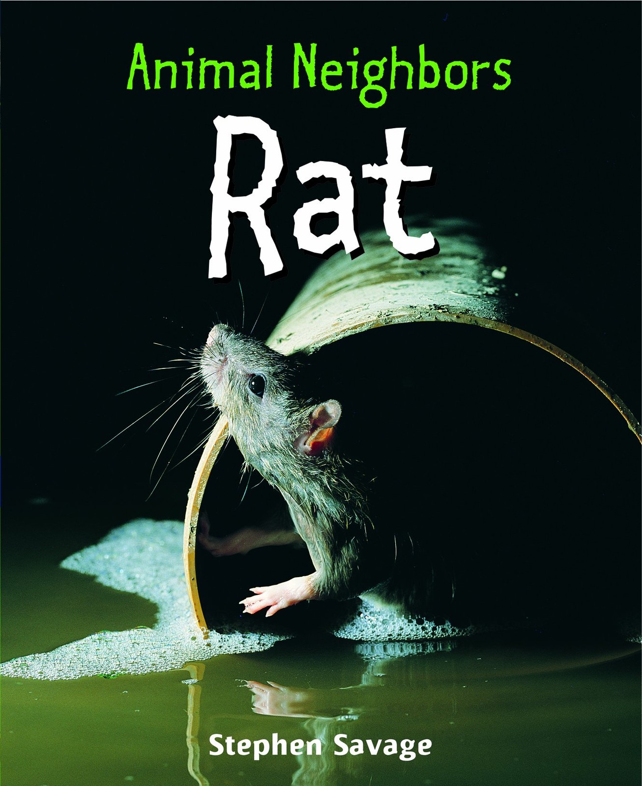 Rat (Animal Neighbors) – library Savage, Stephen