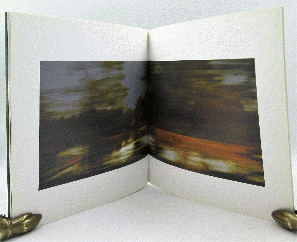 Eileen Neff: Movingstill : November 16-December 22, 2001