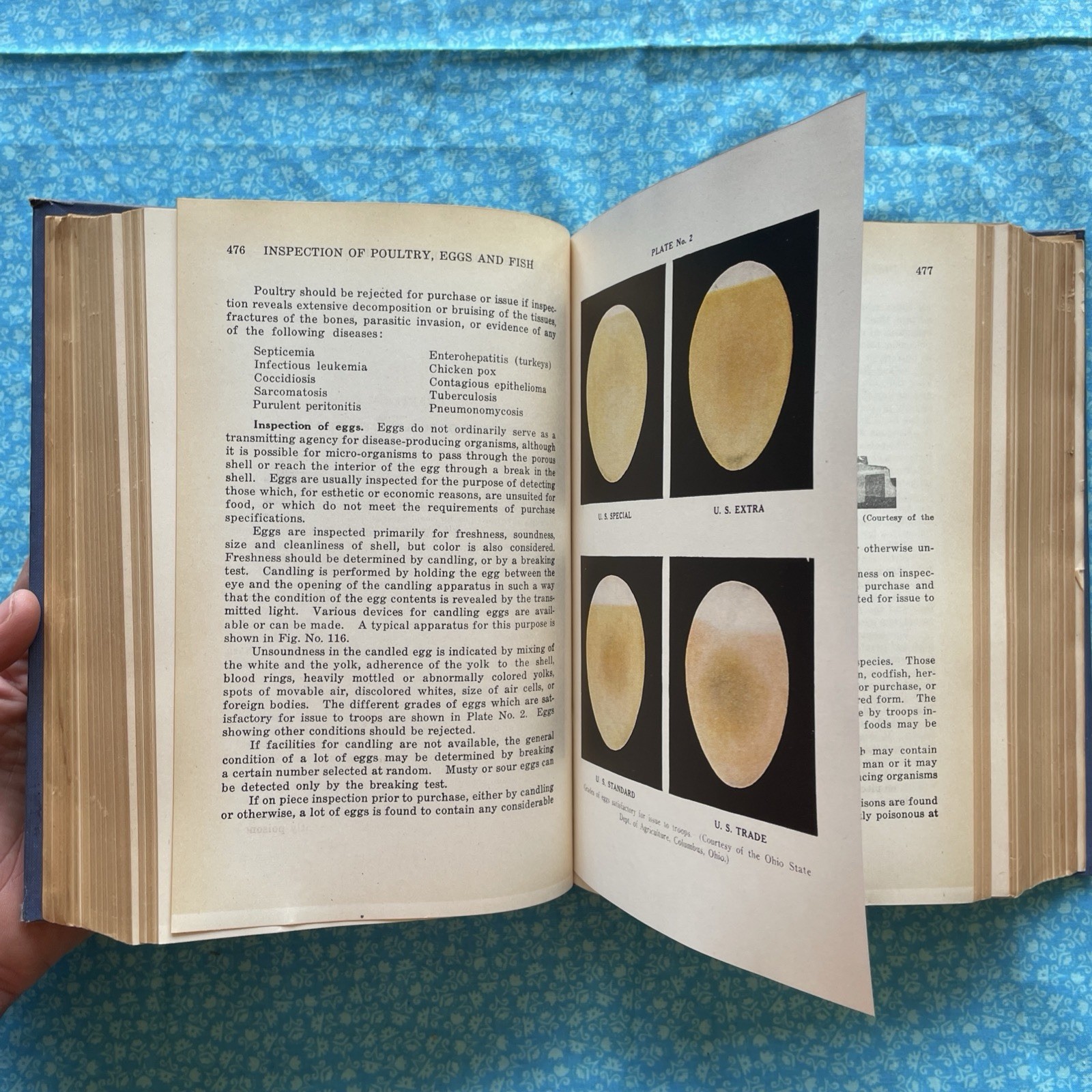 Military Preventative Medicine, 3rd Edition by G. Dunham (1940 VTG Illustr. HC)