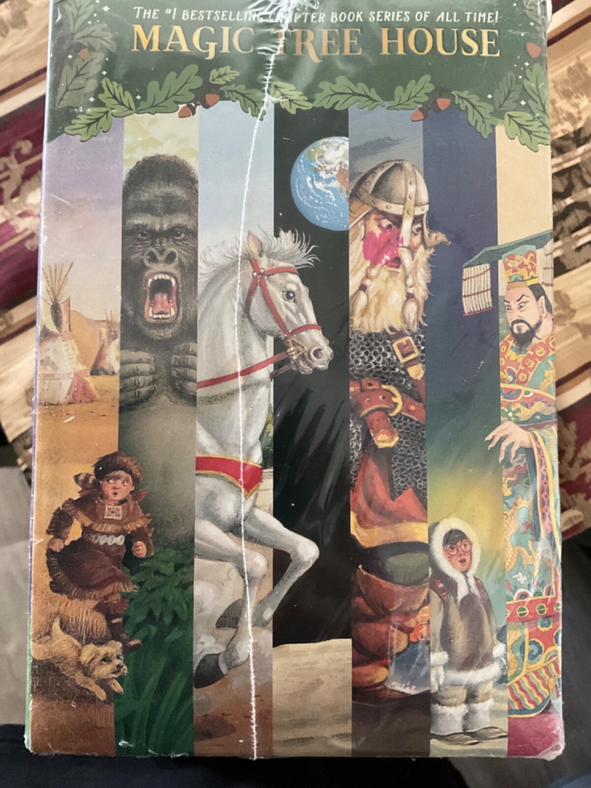 Magic Tree House Books 1-31 Boxed Set by Mary Pope Osborne
