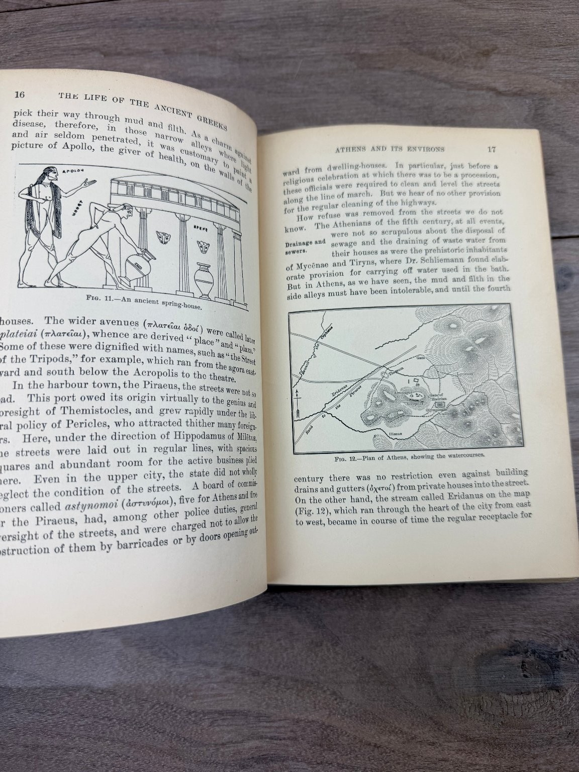 Life of Ancient Greeks Gulick 1929 Illustrated History D. Appleton Hardcover