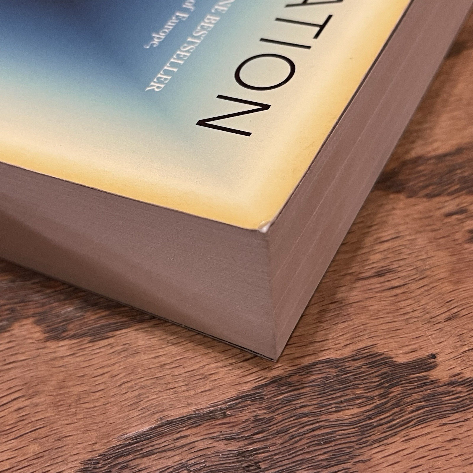 Annihilation (2024) Michel Houellebecq 2nd Printing Trade Paperback UK Import