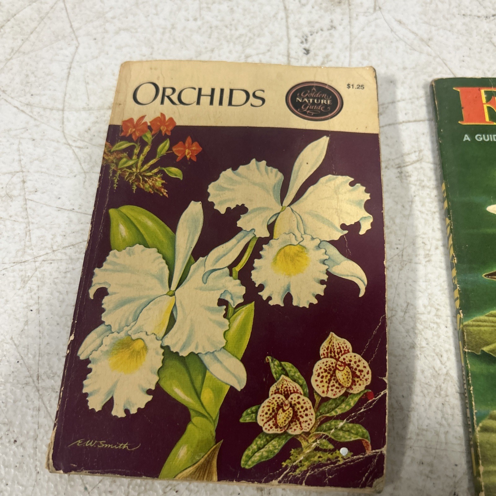 A Golden Nature Guide Lot Of 2 Books Flowers And Orchids
