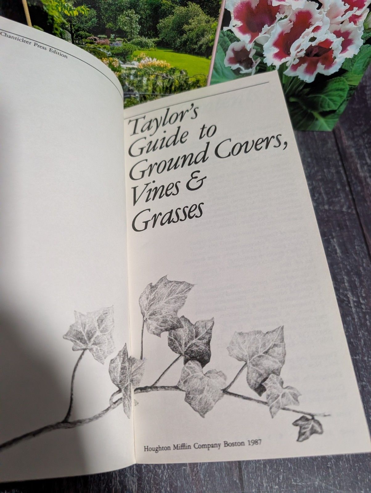 Taylor’s Guide To Book Lot: Garden Design, Ground Covers, Houseplants