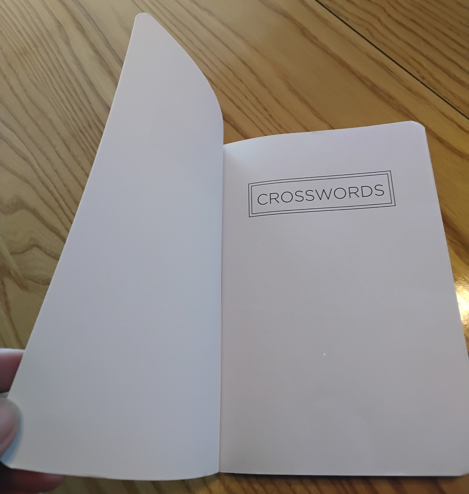 Crossword Puzzle Book Vision St. Publishing LLC 5×7