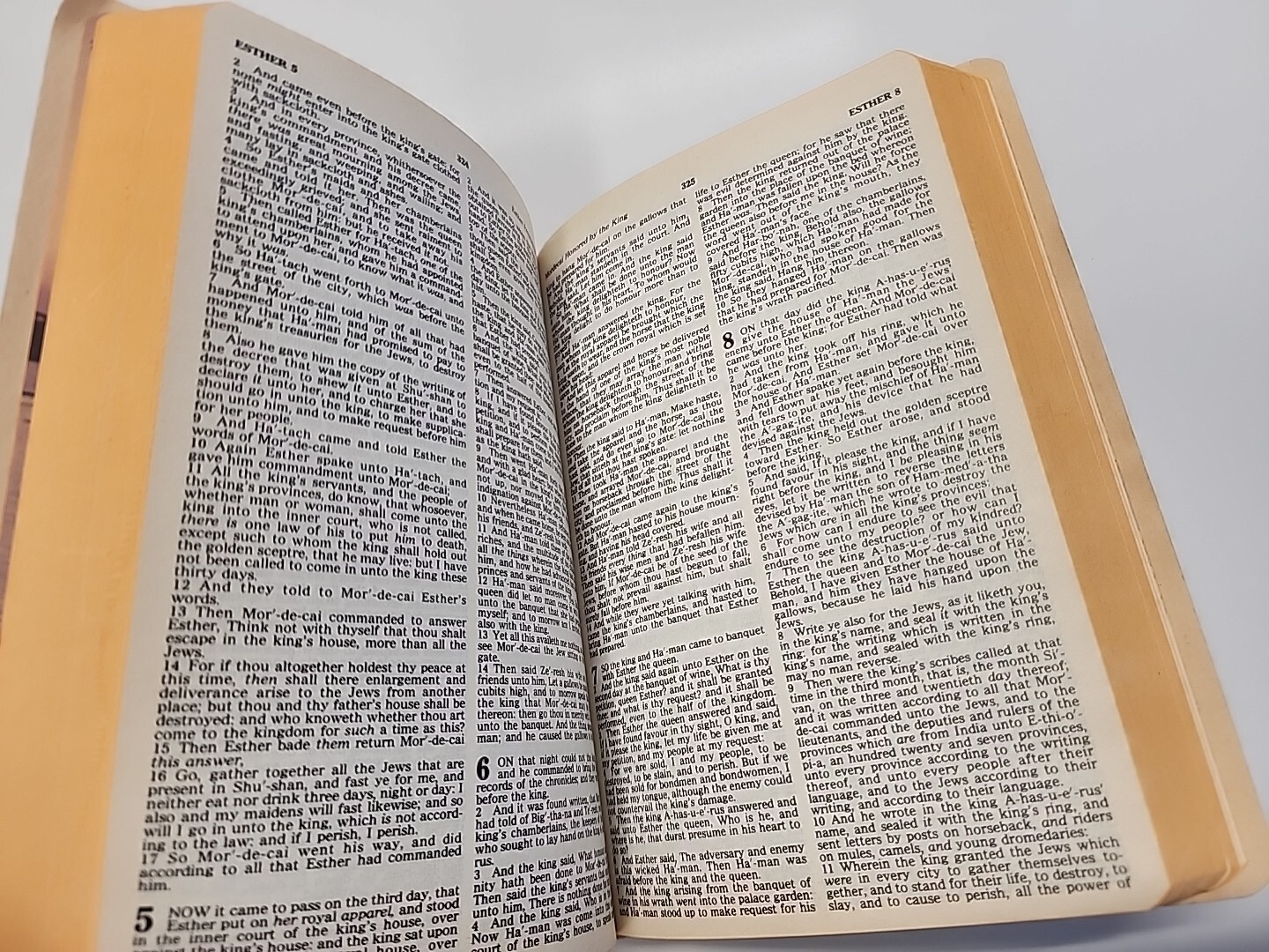 HOLY BIBLE Regency Words of Christ in Red Nelson Pub. King James Version 1977