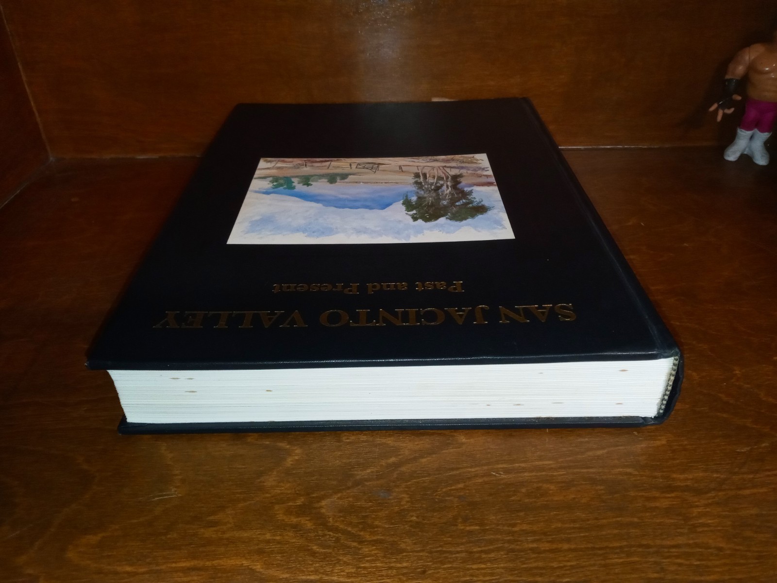 SAN JACINTO VALLEY Past and Present CALIFORNIA Volume I 1989 Hard Cover
