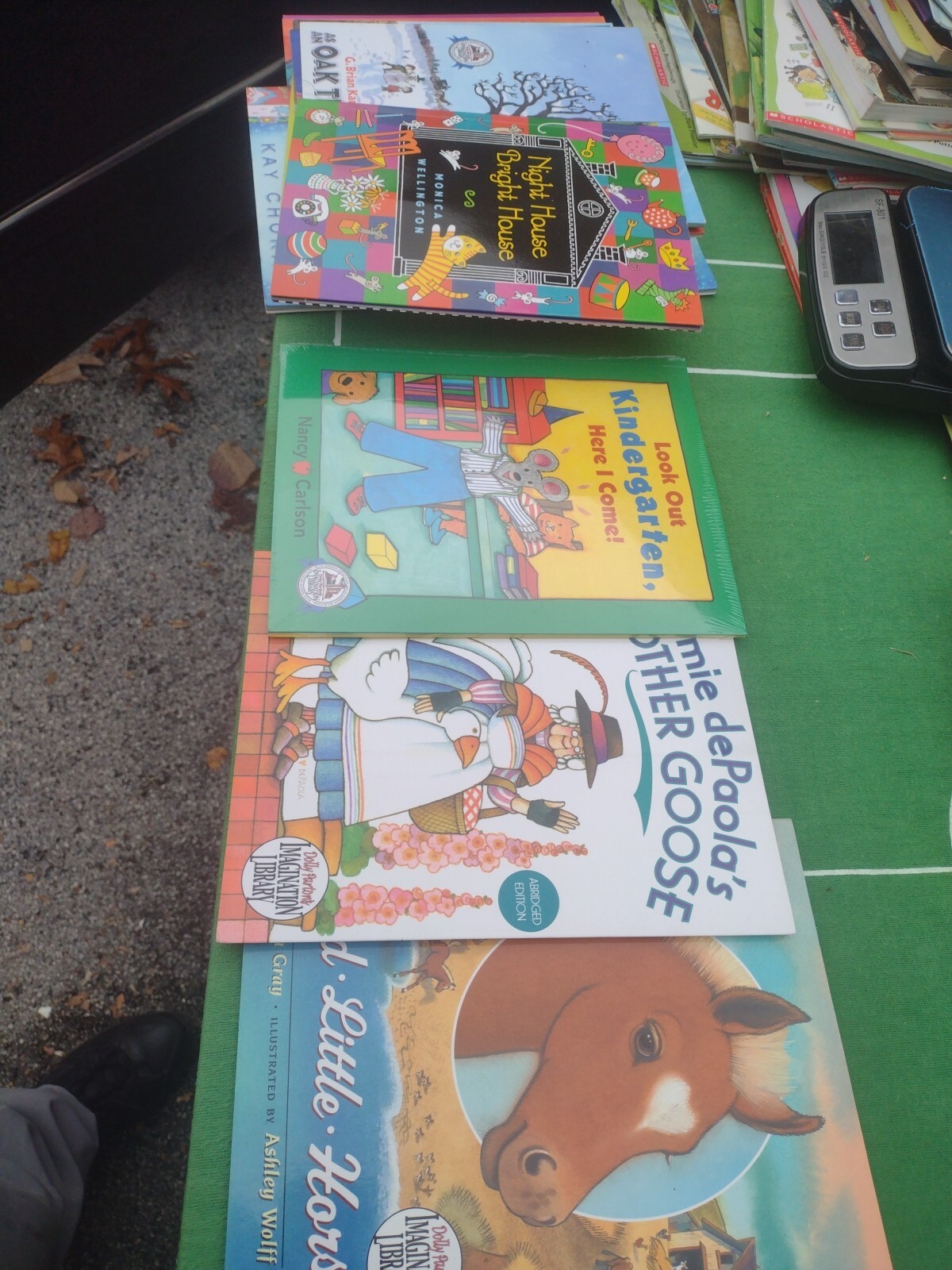 LOT OF 25 DOLLY PARTON IMAGINATION LIBRARY PICTURE BOOKS READ ALOUD ABCs NUMBERS