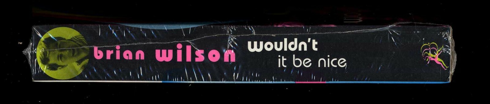 BRIAN WILSON – Wouldn’t It Be Nice – Todd Gold – Paperback 1996 Issue 398 Pages