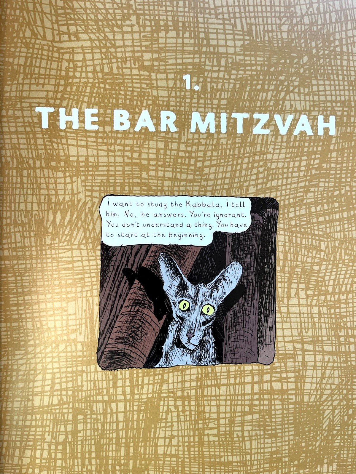 The Rabbi’s Cat graphic novel (2005 1st American paperback edition, SC) Like New