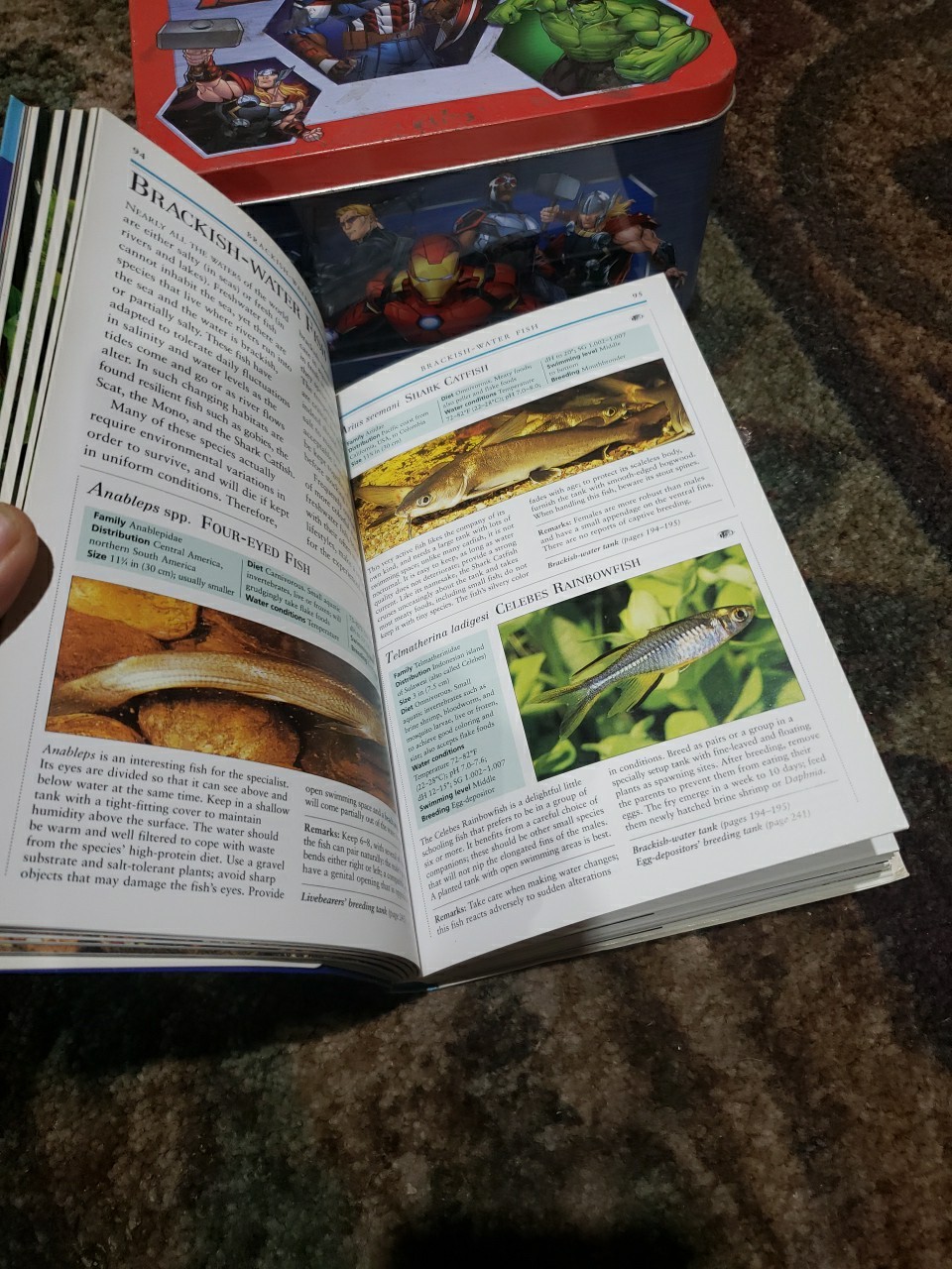 Aquarium Owner’s Manual by Gina Sanford (2003, Trade Paperback)