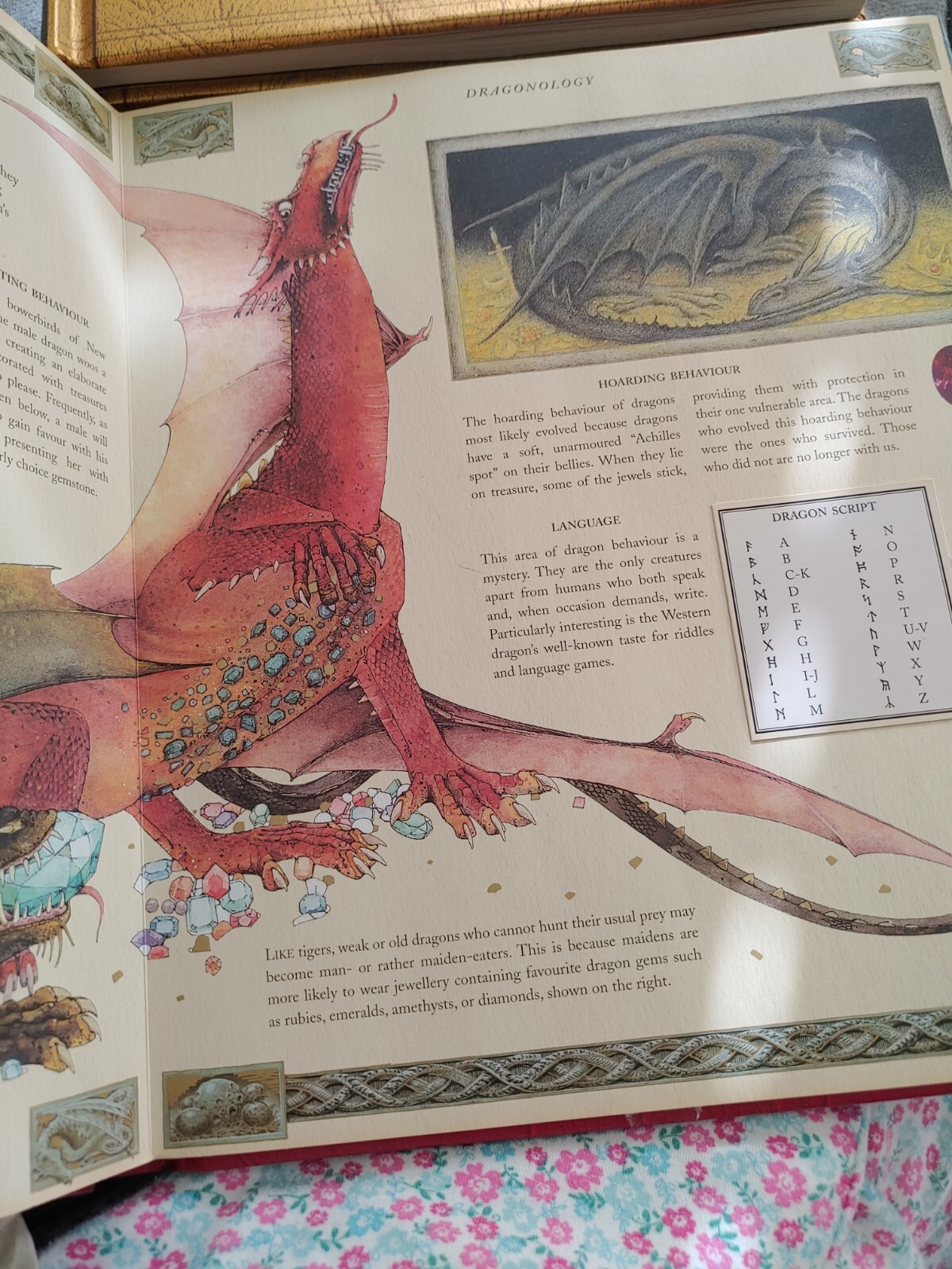 Ologies Ser.: Dragonology : The Complete Book of Dragons by Ernest Drake (2003,