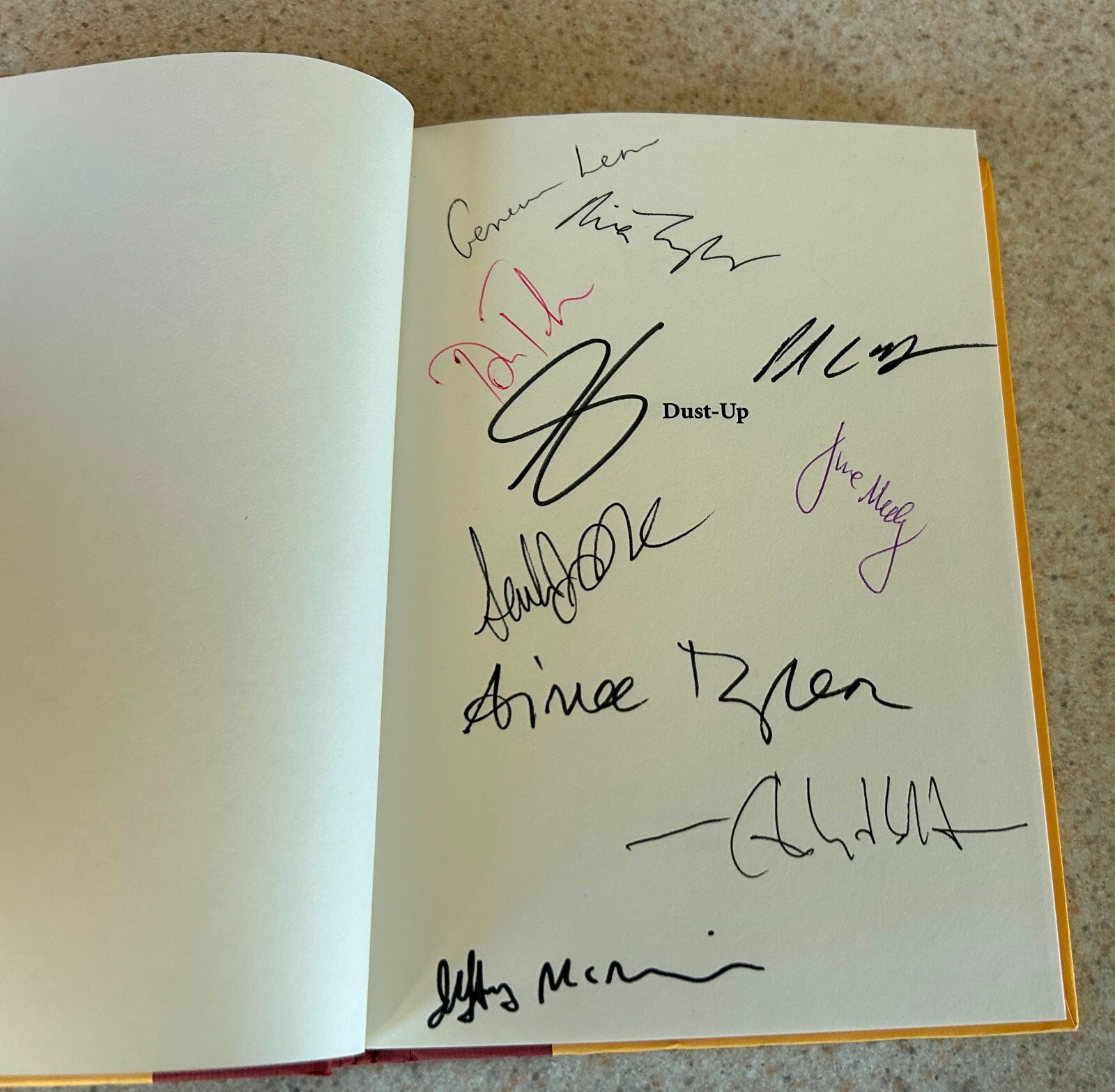 DUST UP — 2004 Literature Hardcover — SIGNED X 10 — Alice Sebold (D)